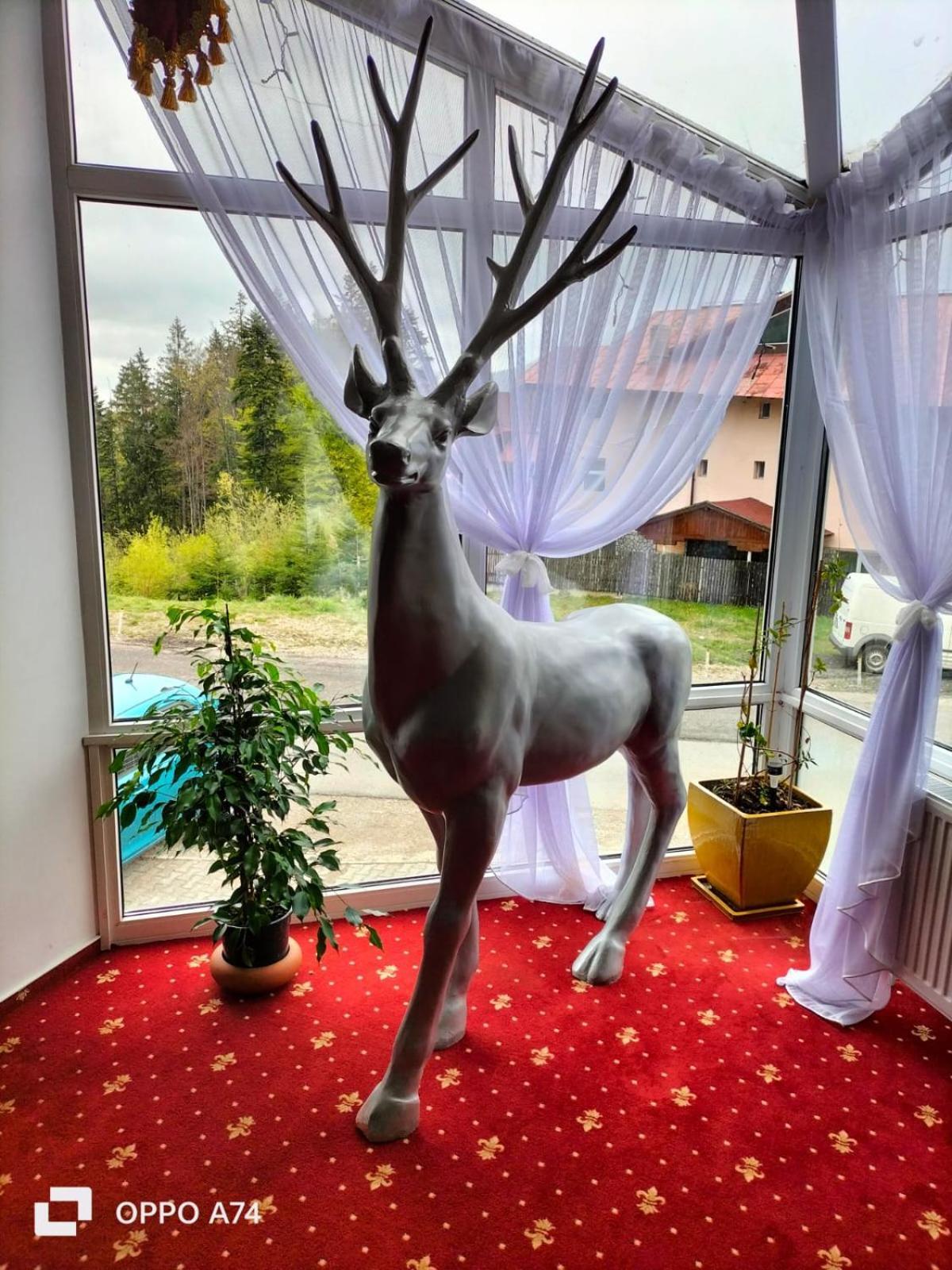 Atrium Panoramic Hotel & Spa Predeál Kültér fotó