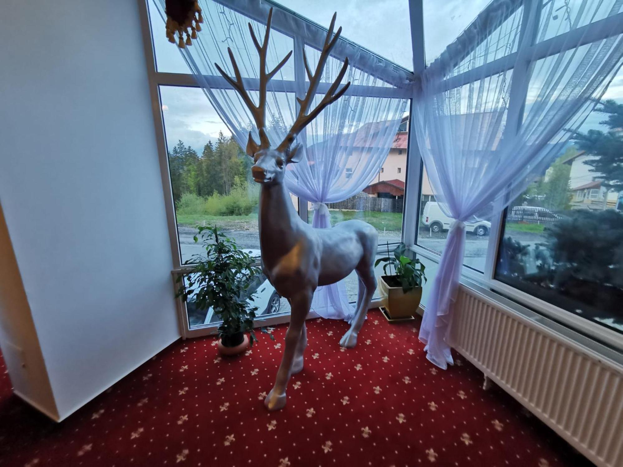 Atrium Panoramic Hotel & Spa Predeál Kültér fotó